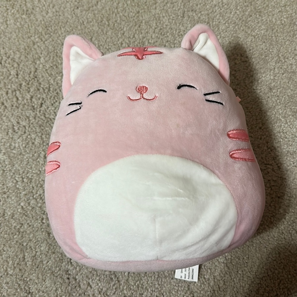 squishmallow cat